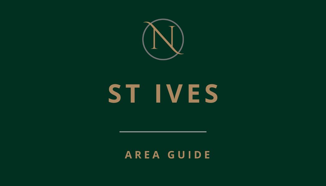 Area guide image -ST IVES